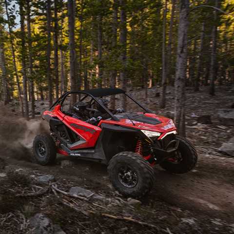 Polaris RZR